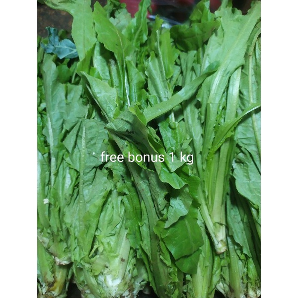 

siomak fresh 1kg + gratis bonus