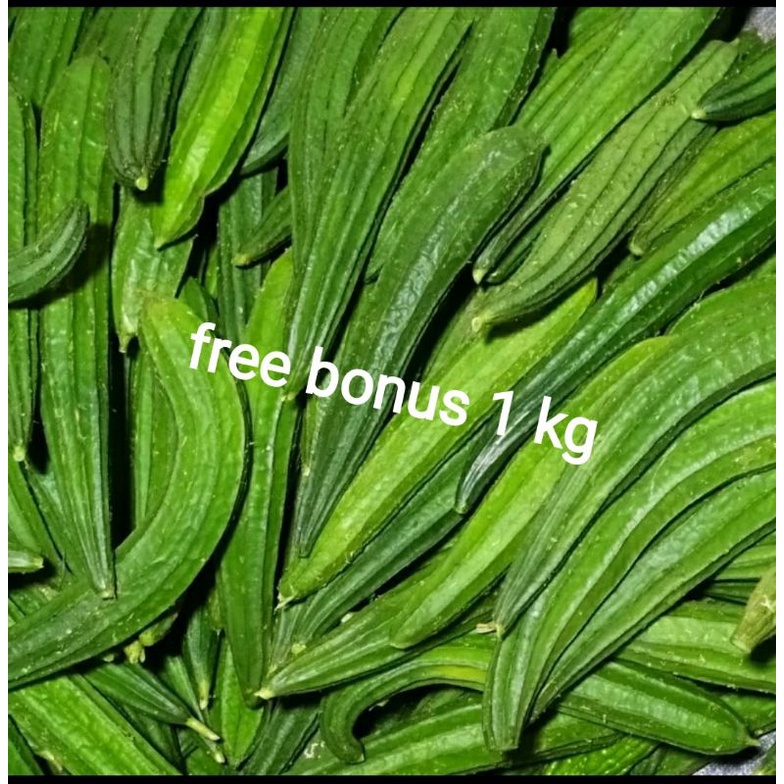 

oyong segar 500gr + gratis bonus