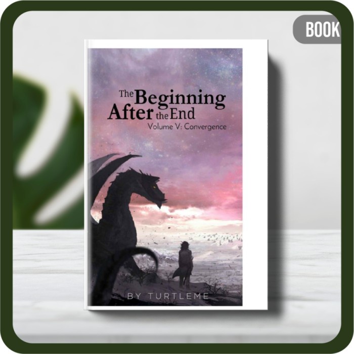 

Buku - The Beginning After The End Convergence by TurtleMe