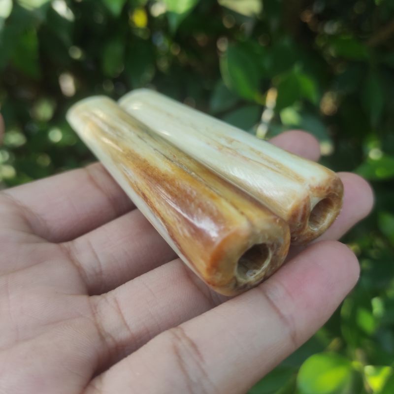 Once Pipa Roko Moncong Marlin Asli