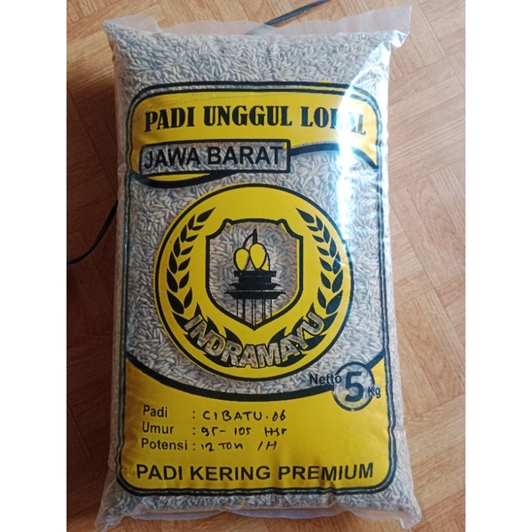 BENIH PADI CIBATU 06