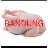 

ayam mentah
