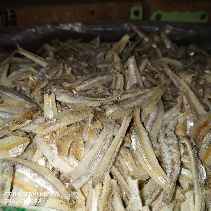 

Promo teri jengki belah 1kg