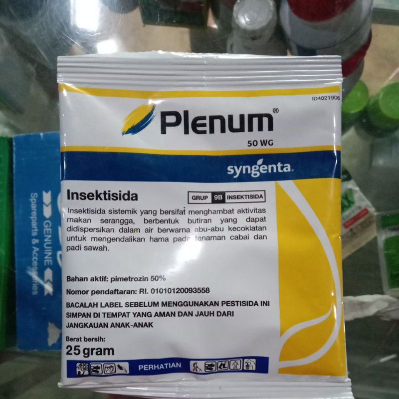 Plenum