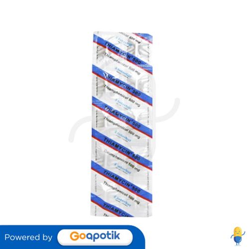 THIAMYCIN 500 MG STRIP 10 KAPSUL