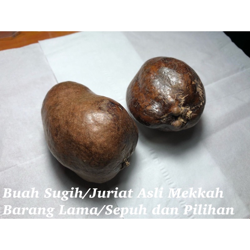 

Buah Sugih Asli Mekkah Langka dan Barang pilihan
