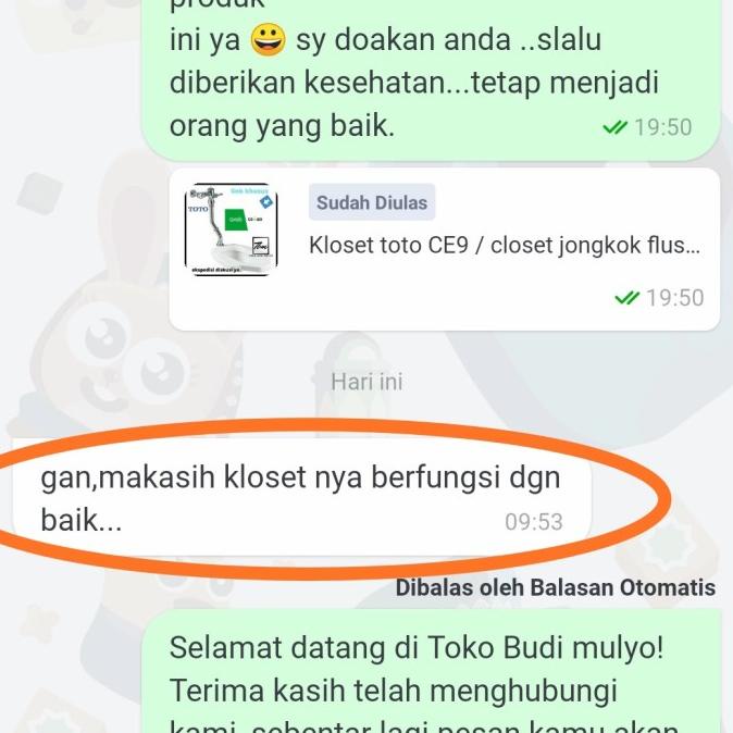 Kloset Jongkok Flush Toto Ce9