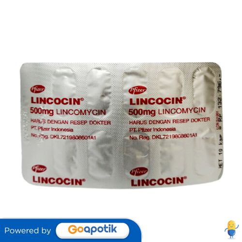 LINCOCIN 500 MG STRIP 10 KAPSUL