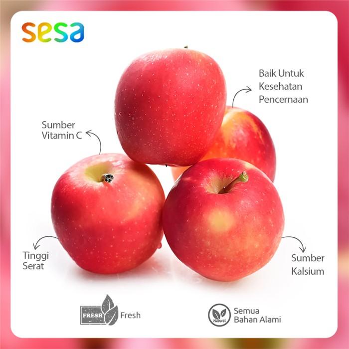 

Apel Rockit NZ Tube 5 Pcs Kualitas Terbaik