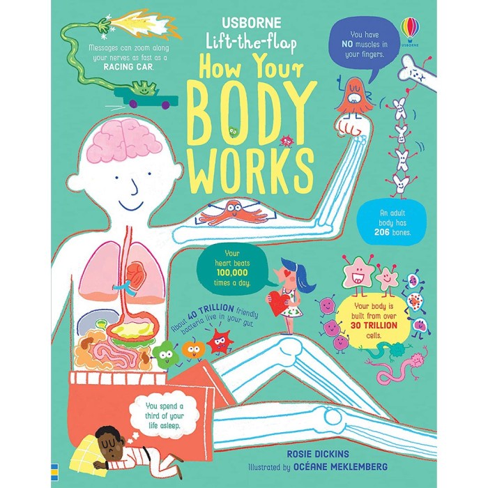 Diskon Spesial Usborne How Your Body Works Termurah