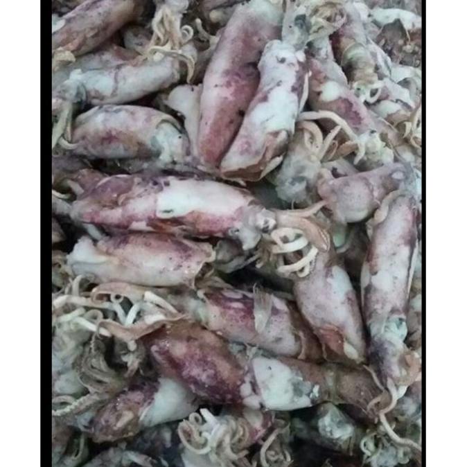 

CUMI ASIN 1KG FULL DAGING KERING/ CUMI ASIN KERING ASLI TUBAN 1KG jin01