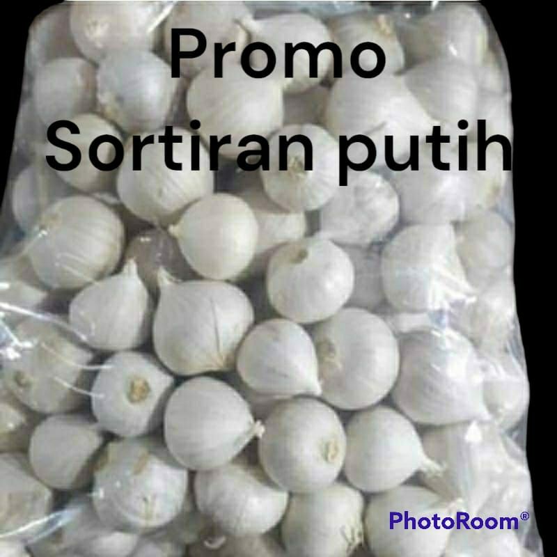 

bawang tunggal super putih 1kg/bawang lanang/free kardus packing baru