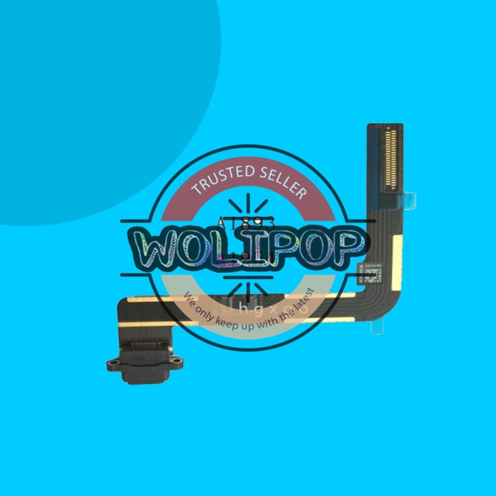 FLEXIBLE FLEXIBEL CONNECTOR CHARGER IPAD 6 2018 A1893 A1954 ORIGINAL