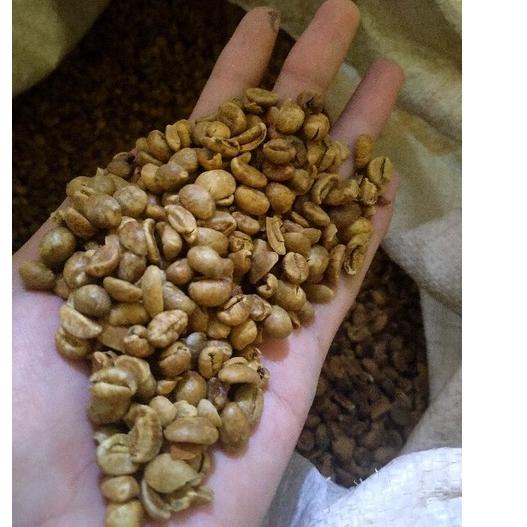Limited | FG2 | kopi 1kg khas robusta Tulungagung biji mentah greenbean TERLARIS