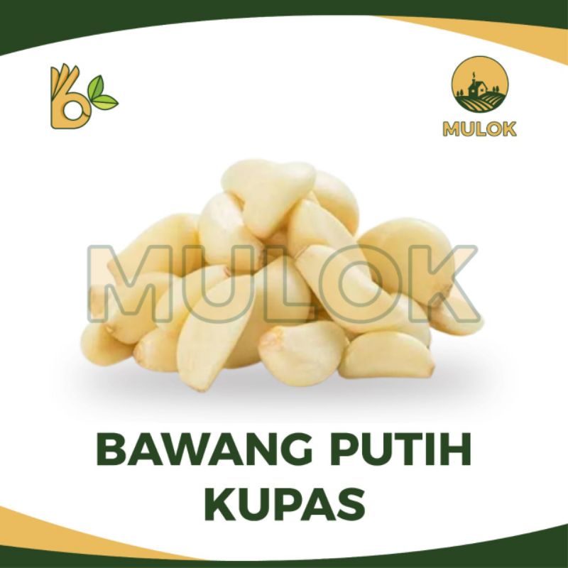 

Bawang Putih Kupas