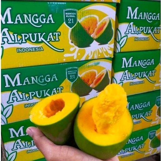 

mangga alpukat harum manis matang pohon 1 kg