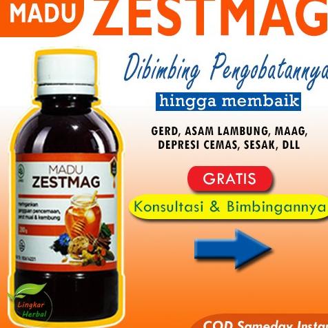 

Madu Zestmag Madu Zetmag Madu Zetsmag Madu Zestmaag Zetmaag Zetmagh