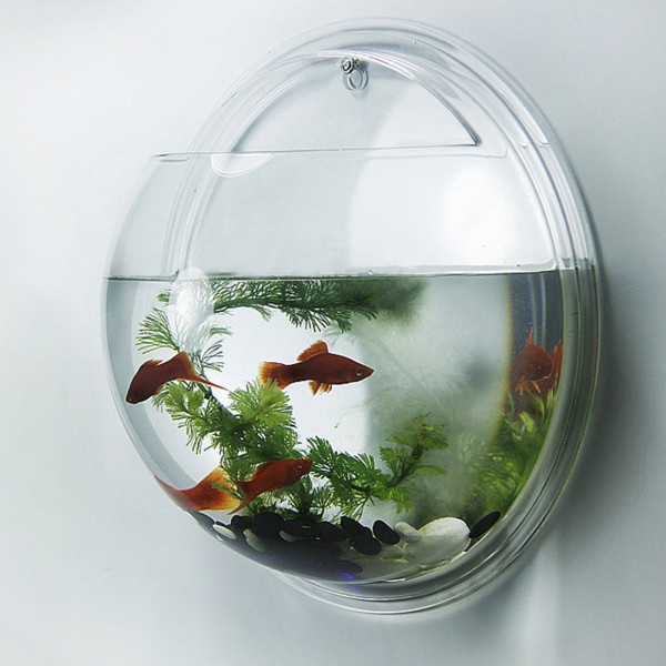 Flash Sale Aquarium Gantung Bulat Tempel Tembok Dinding Hanging Soliter Solitair Termurah