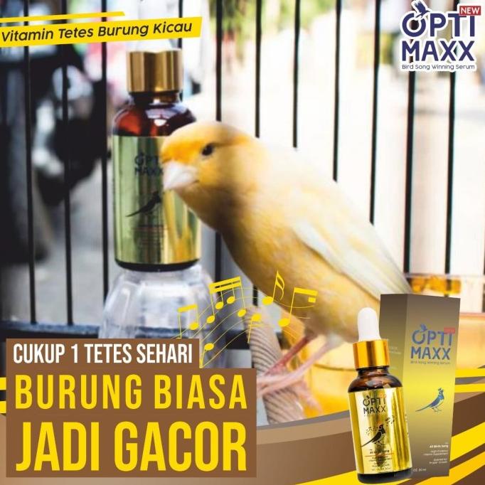 OPTIMAXX SERUM VITAMIN PENGGACOR BURUNG