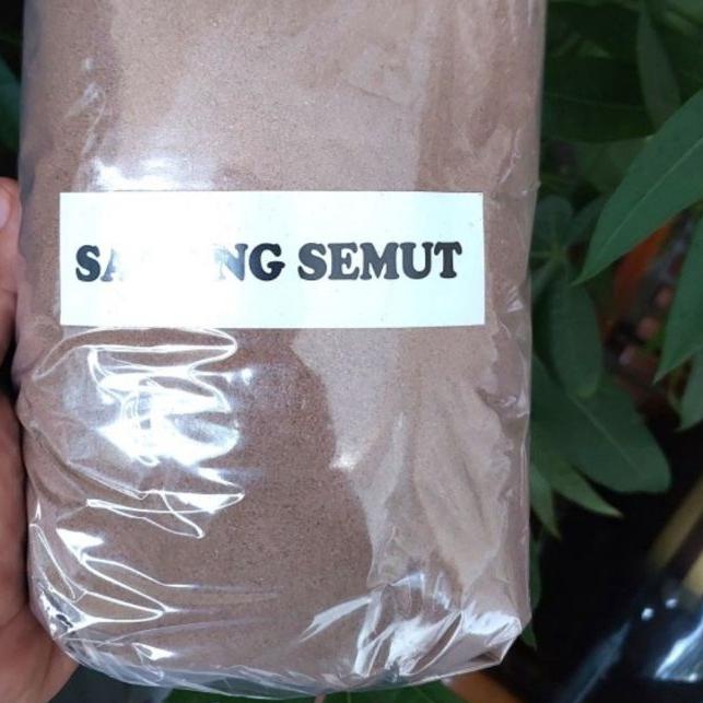 

Terbaru | FG2 | Bubuk Sarang Semut Papua Asli Murni 500gr / Bubuk Sarang Semut