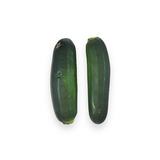 

Zukini / Zuchini Organik 500gr-JktBar