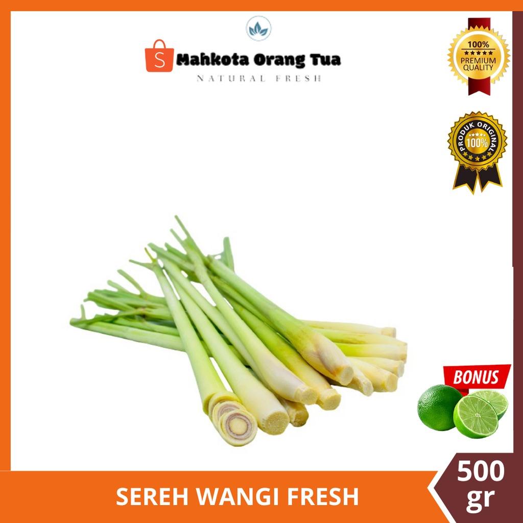 

SEREH WANGI SEREH SEGAR 500gr [ TERLARIS BERKUALITAS ]