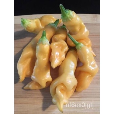 

ดMericaพRush็Peachเลม์ุSugarธ นBenihั GQ4B