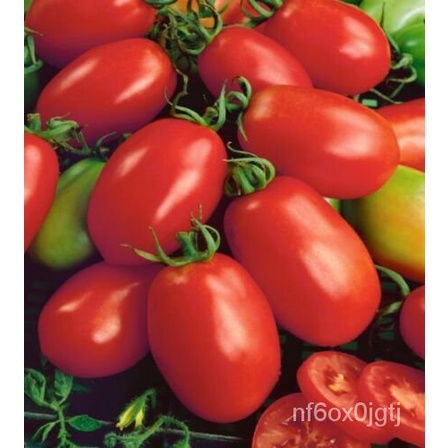 

์ุBiji-bijian Amerika-ัBenih-Tanam-ธพ100Tomat-ดNaples Non GMO็นมเOrganikล XHDS