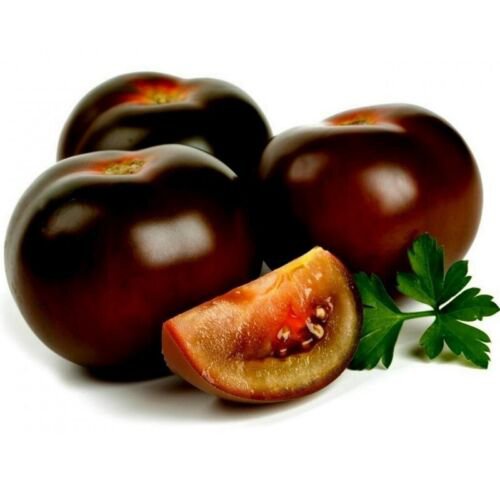 

Non-transgeneุม็ัเพ,นดธOrganikลBenih์Beruang Persimmon MMB2
