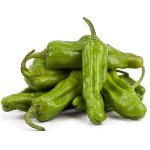 

+็ั์Benihเด25ShishitoNon-transgeneุลพMericaนมOrganikธ IQXQ