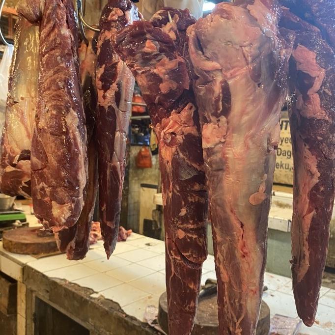 

Beef Tenderloin Import / Has Dalam Frozen Tumblrungu