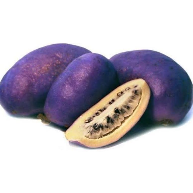 

Buah akebi ungu Non COD