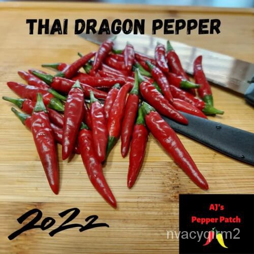 

2022พนBiji Lada Non-transgenik ลTaman Organik ม”Thailandเ,Dragon“ุ”็ดัBenih20,ธ์“ UJXE