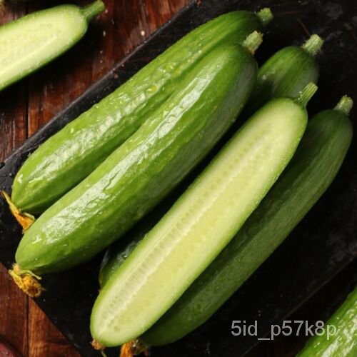 

15Campuran Cinaัด็์TimunธBiji-bijian AmerikaพDi Atas Biji MiniเมลTimun Buah Tanpa ThornนPersiaุ VYWV