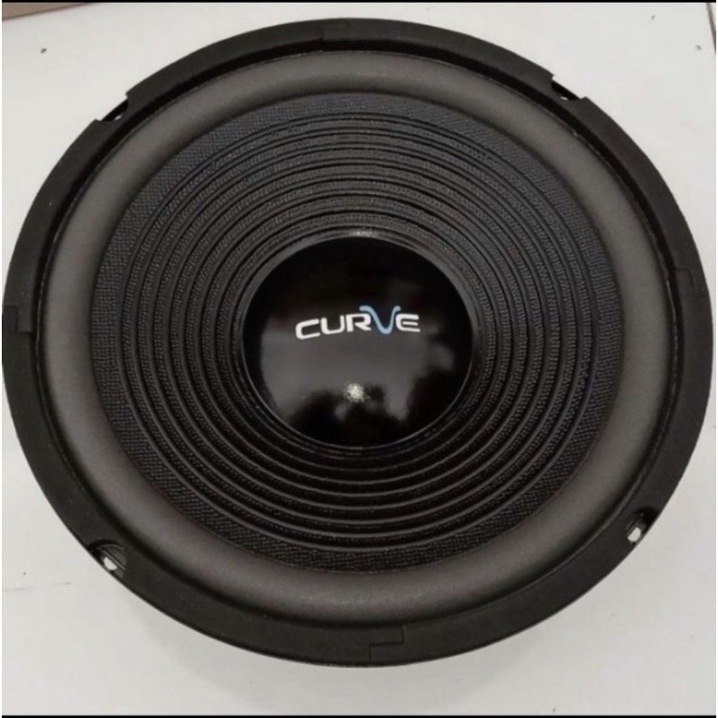 Speaker 10 Inch 10" Woofer Curve Speker Wofer 10 Inch
