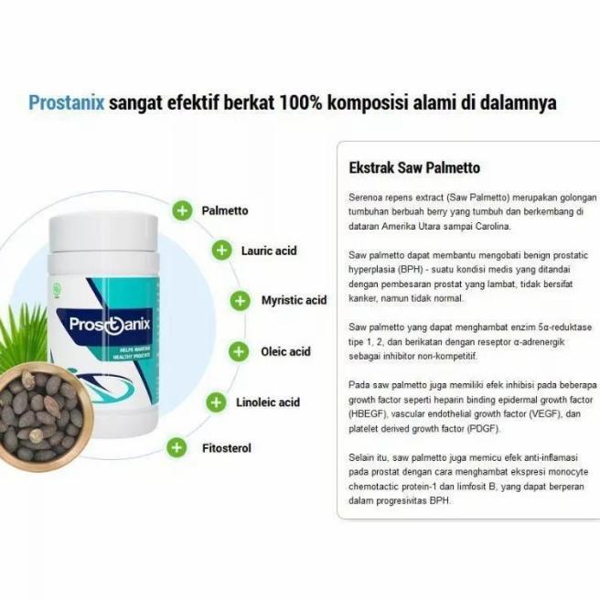 Prostanix Original Obat Herbal Atasi Prostat Ampuh BPOM