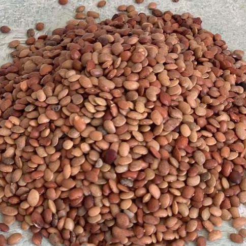 

}}}}}}] BB KULTHI DHAL 500 GM