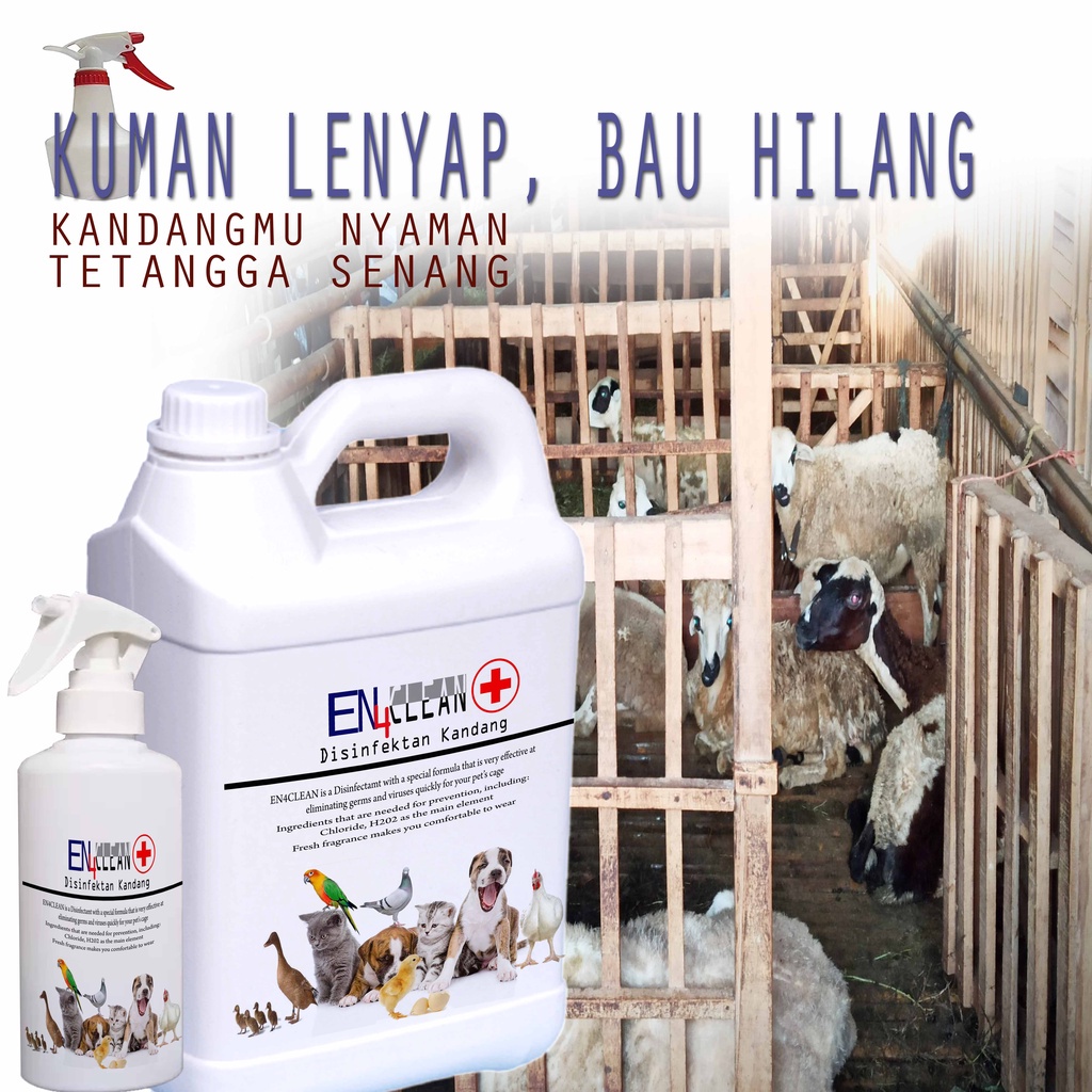 250ml-1L Spray bau kandang Desinfektan kandang kambing untuk menghilangkan kuman dan bau kotoran kambing EPS44 TK2