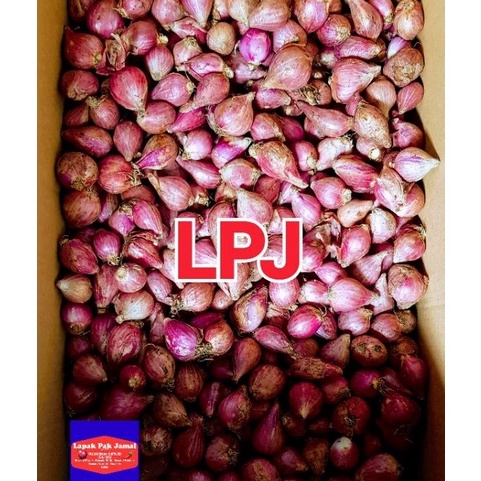 

Promo ⭐✔️ Bawang MERAH BREBES SUPER - 1 Kg - LPJ