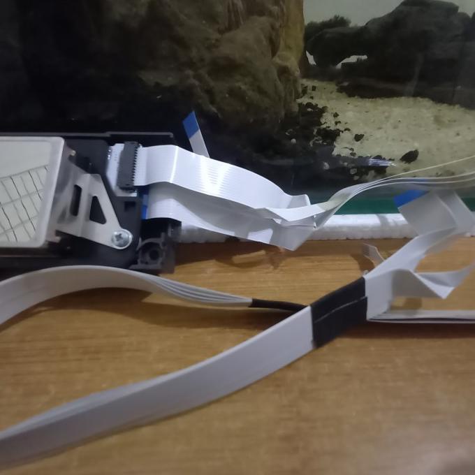 Flexible head L800 to L1800 FFC Head L800 to printer L1800