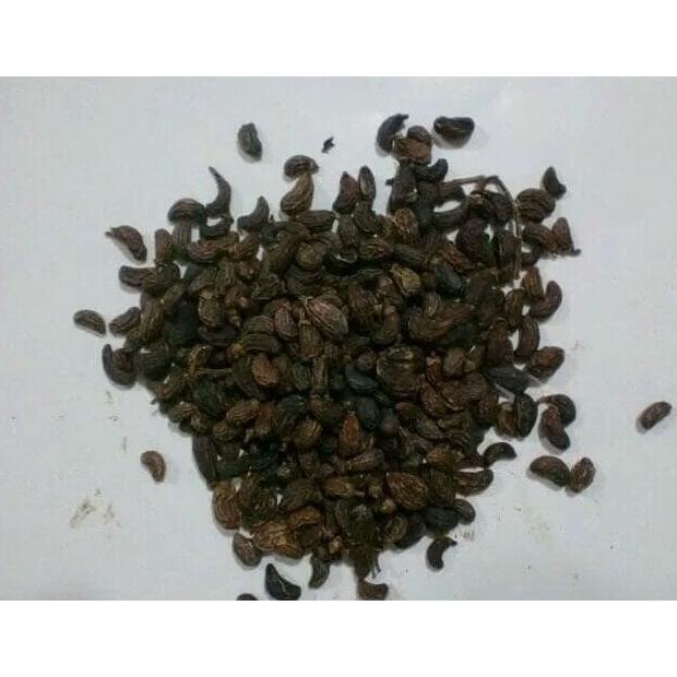 

600 G GR GRAM NV NU ZHEN ZI BIJI BUAH LIGUSTRUM LUCIDUM PRIVET FRUIT Best Seller