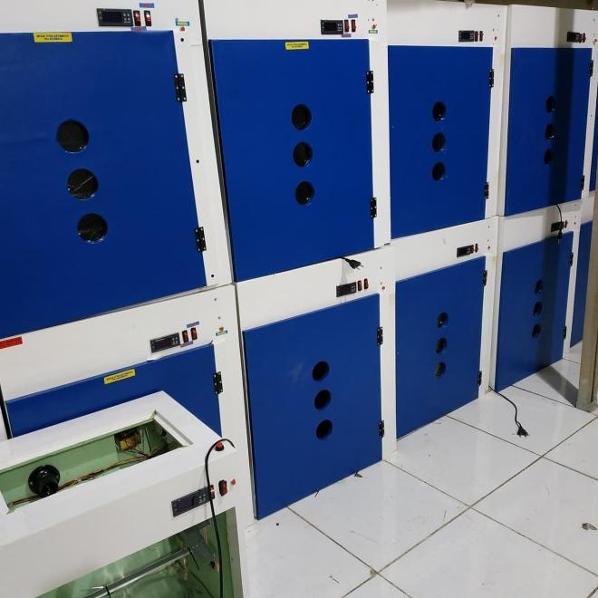 Mesin Penetas Telur Ayam