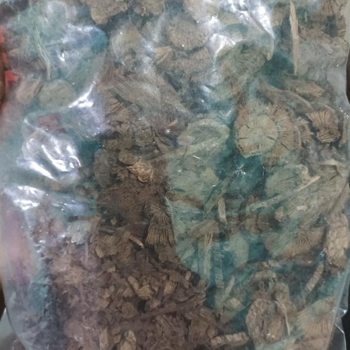 

%$%$%$%$] 300 G GR GRAM HU JIAO GEN AKAR MERICA LADA