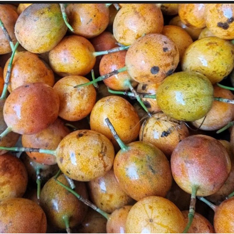 Buah Markisa 1 Kg