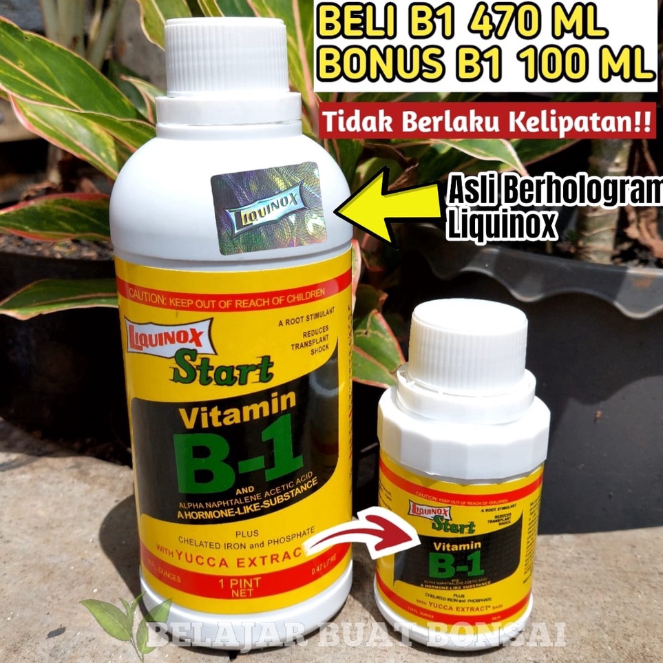(F✪6Z.✓] VITAMIN B1 LIQUINOX 470ML BELI 1 GRATIS B1 100ML super.keren