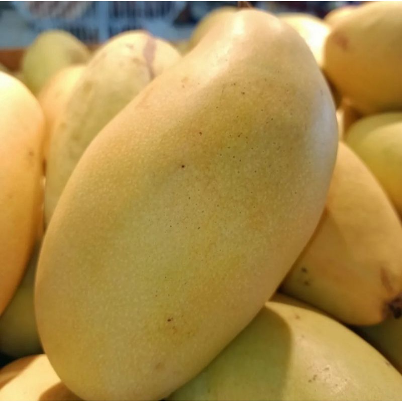 

mangga lokmai thailand 1kg celo