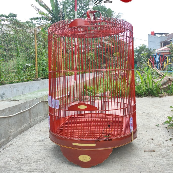 Kandang Murai BNR Reborn No 2 / Sangkar Murai BNR