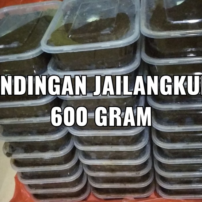 Bendingan jailangkung umpan galatama lele