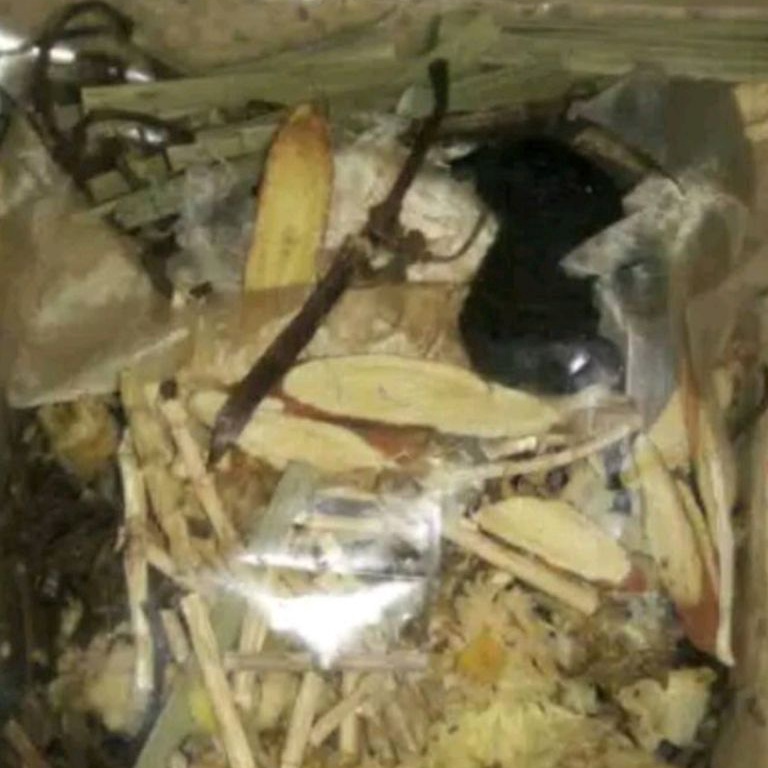 

Murah.. LIANG TEH ISI 200 GRAM 37