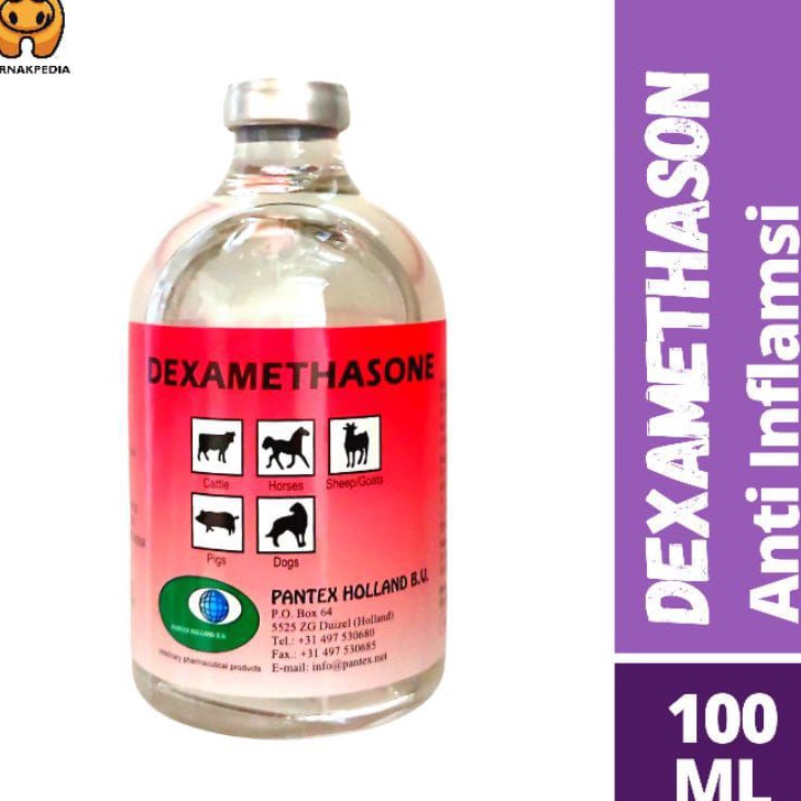 Ready Stok Dexametason 100ml injeksi - Pantex holland - obat anti inflamasi gas 